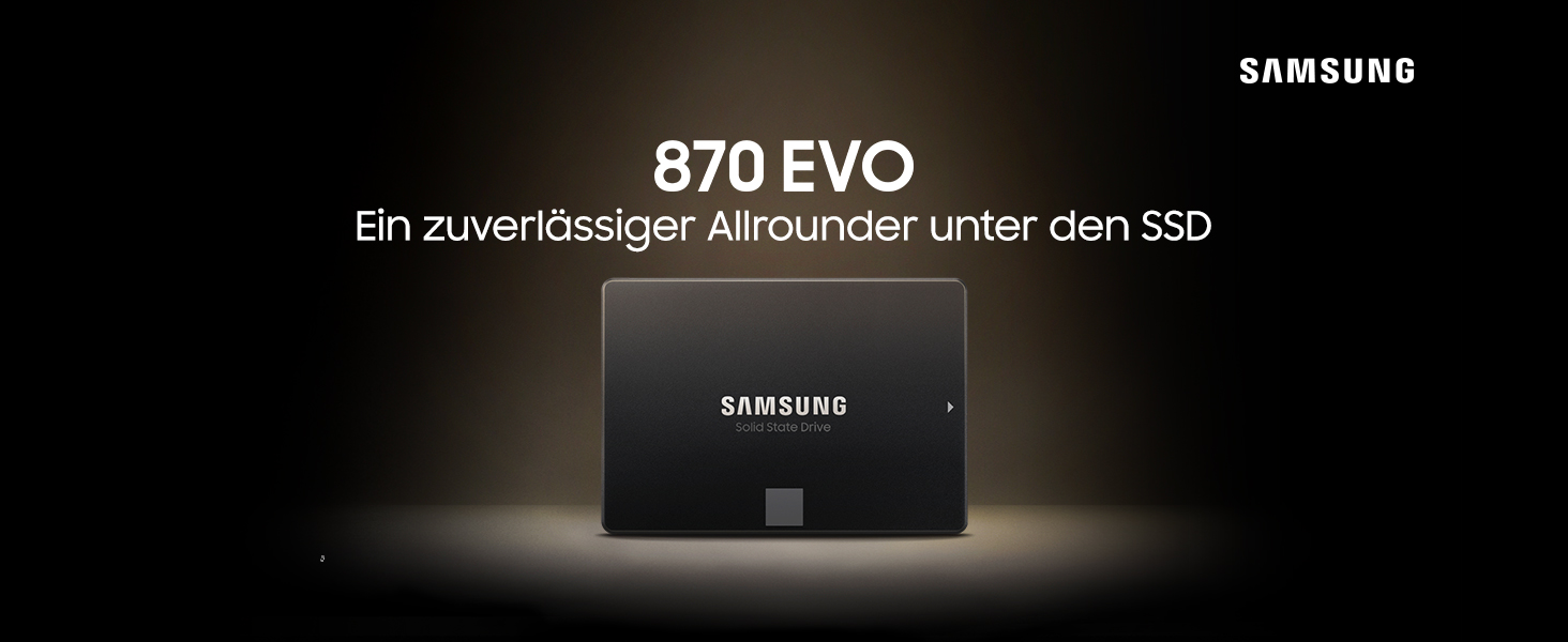 Samsung-870-EVO-SATA-III-25-Zoll-SSD-500-GB-560-MBs-Lesen-53